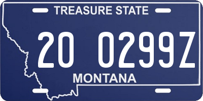 MT license plate 200299Z