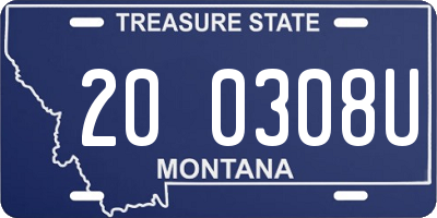 MT license plate 200308U