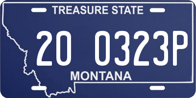 MT license plate 200323P