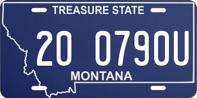 MT license plate 200790U
