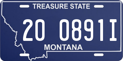 MT license plate 200891I