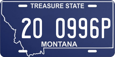 MT license plate 200996P