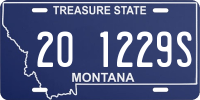 MT license plate 201229S