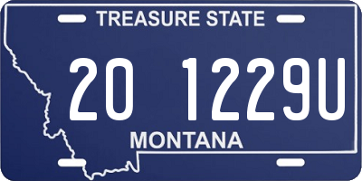 MT license plate 201229U