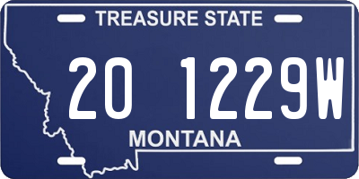 MT license plate 201229W