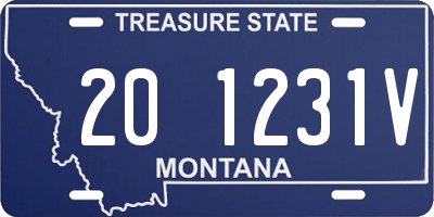 MT license plate 201231V