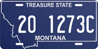 MT license plate 201273C