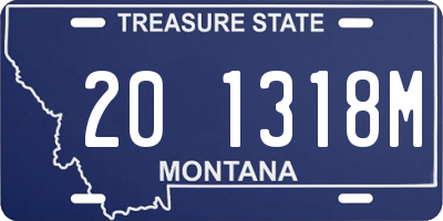 MT license plate 201318M