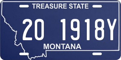 MT license plate 201918Y