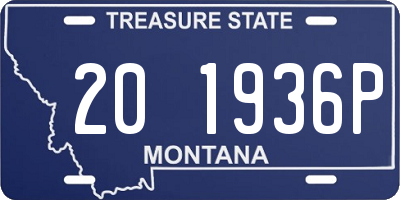 MT license plate 201936P