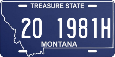 MT license plate 201981H
