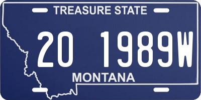 MT license plate 201989W