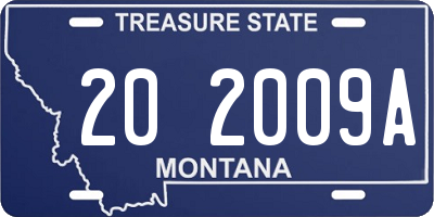 MT license plate 202009A