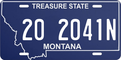 MT license plate 202041N