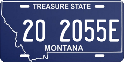 MT license plate 202055E