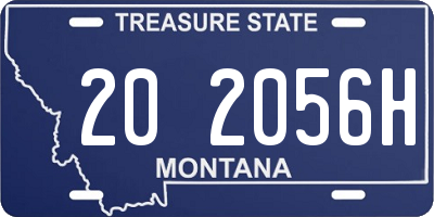 MT license plate 202056H