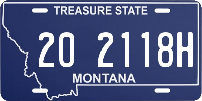 MT license plate 202118H
