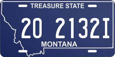 MT license plate 202132I