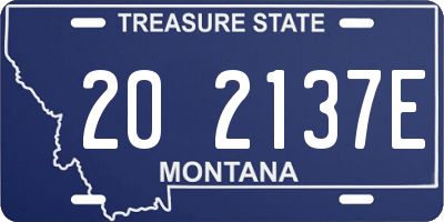 MT license plate 202137E