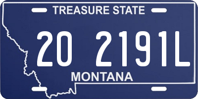 MT license plate 202191L