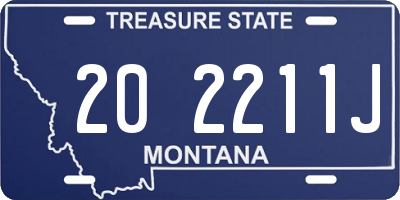 MT license plate 202211J