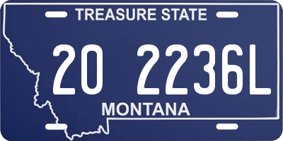 MT license plate 202236L