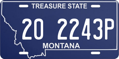 MT license plate 202243P