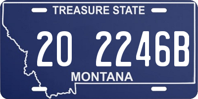 MT license plate 202246B