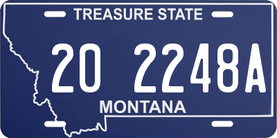 MT license plate 202248A