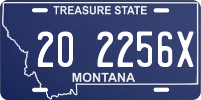 MT license plate 202256X