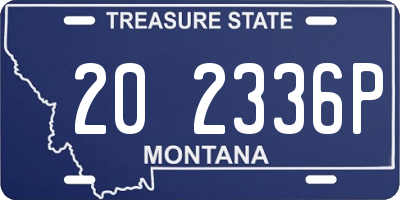 MT license plate 202336P