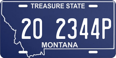 MT license plate 202344P