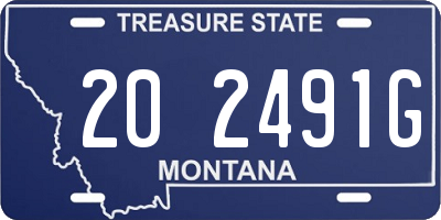 MT license plate 202491G