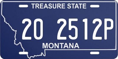 MT license plate 202512P