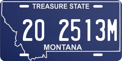 MT license plate 202513M