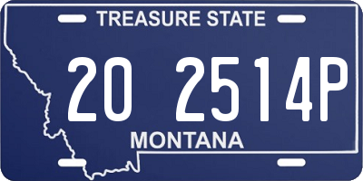 MT license plate 202514P