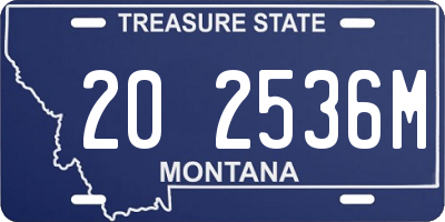 MT license plate 202536M