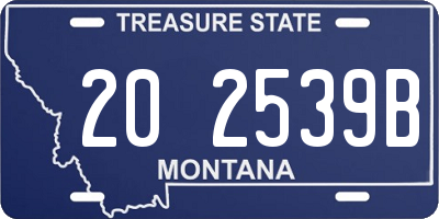 MT license plate 202539B