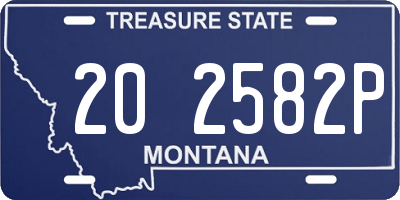 MT license plate 202582P