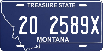 MT license plate 202589X