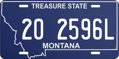 MT license plate 202596L