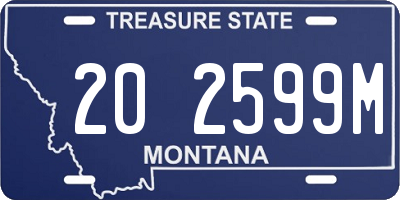 MT license plate 202599M