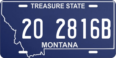MT license plate 202816B