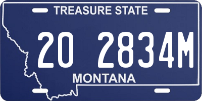 MT license plate 202834M