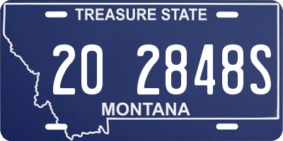 MT license plate 202848S