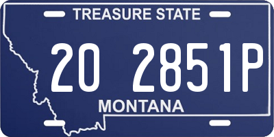 MT license plate 202851P