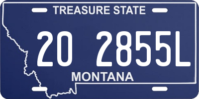 MT license plate 202855L