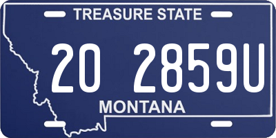 MT license plate 202859U