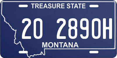 MT license plate 202890H