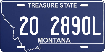 MT license plate 202890L